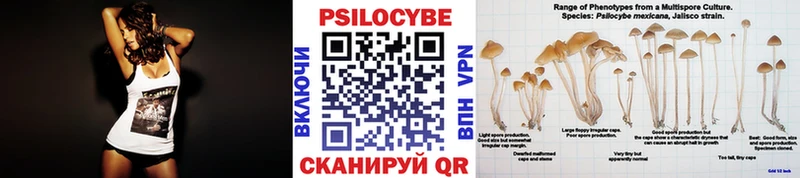 Псилоцибиновые грибы ЛСД  OMG ссылки  Северская 