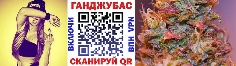 darknet клад Северская Шишки марихуана тримм магазин наркотиков гидра маркетплейс
